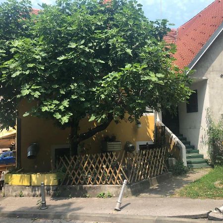 Apartment Tkalca Zagreb Eksteriør billede